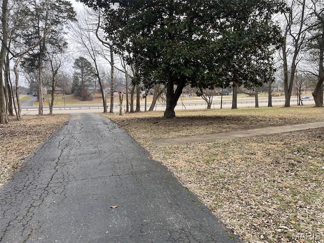 12255 Benham Rd, Saint Louis, MO 63138 - view of street