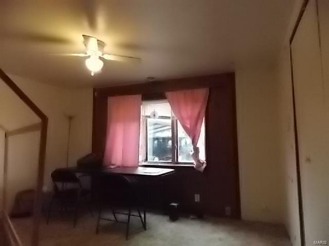 109 E Hicks, Cardwell, MO 63829 - bonus room featuring ceiling fan