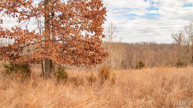 0 Wellington Ln, Laurie, MO 65037 - photo 26