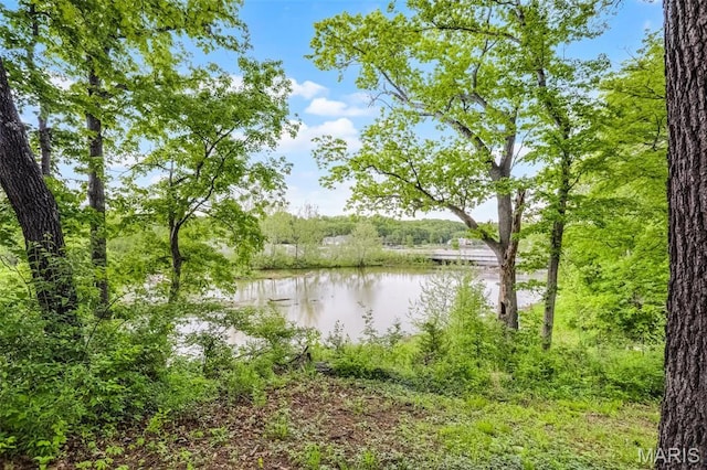 3 Oak Bluff Dr, Lake St Louis, MO 63367 - photo 3