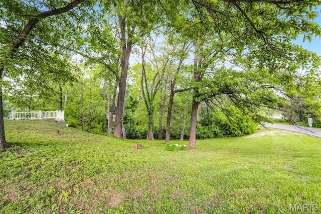 3 Oak Bluff Dr, Lake St Louis, MO 63367 - photo 38