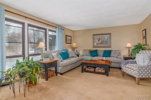 3 Echo Ln, Centralia, IL 62801 - view of carpeted living area