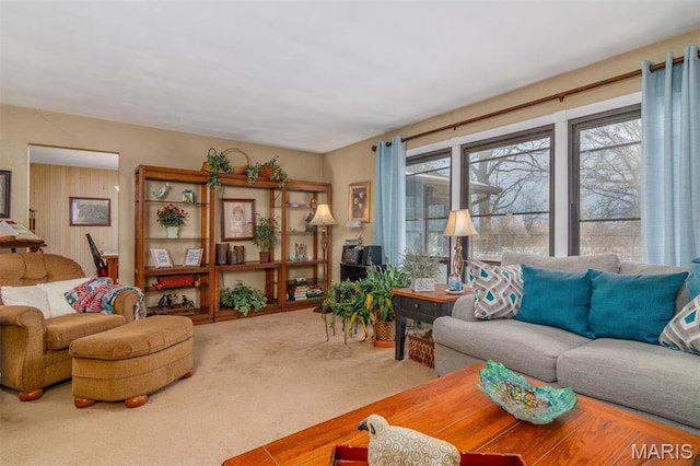 3 Echo Ln, Centralia, IL 62801 - living room with carpet