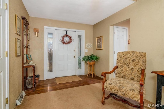 3 Echo Ln, Centralia, IL 62801 - foyer entrance featuring wood finished floors and carpet flooring