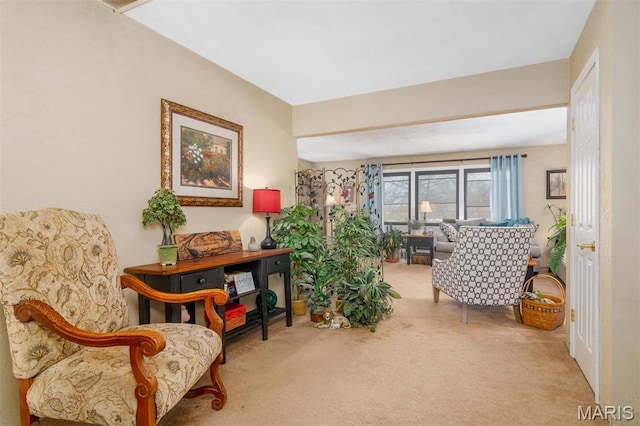 3 Echo Ln, Centralia, IL 62801 - living area with carpet flooring