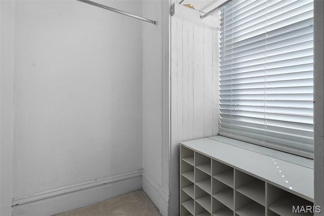 1317 Shenandoah Ave, Saint Louis, MO 63104 - spacious closet with carpet