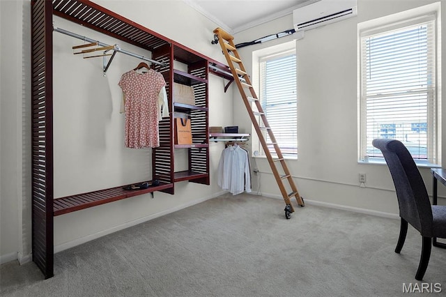 1317 Shenandoah Ave, Saint Louis, MO 63104 - spacious closet featuring a wall unit AC and carpet