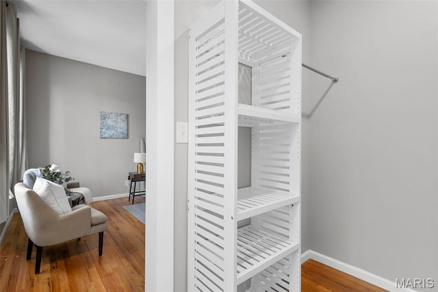 spacious closet featuring wood finished floors