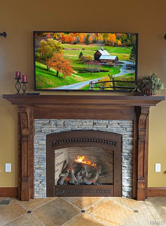 9606 Klings Ct, Mascoutah, IL 62258 - detailed view of a fireplace and baseboards