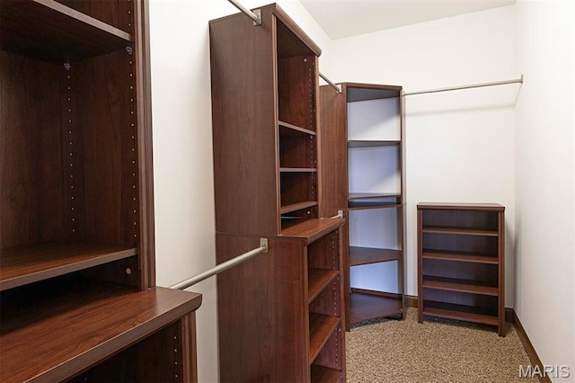 9606 Klings Ct, Mascoutah, IL 62258 - spacious closet with carpet floors