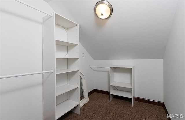 9606 Klings Ct, Mascoutah, IL 62258 - spacious closet with dark colored carpet and lofted ceiling