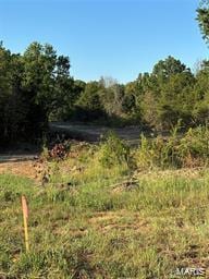 4 Rte J, Monroe City, MO 63456