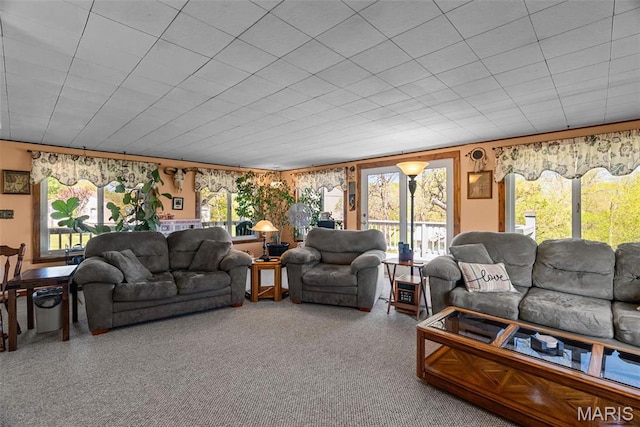 living room with healthy amount of natural light
