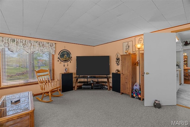 living area featuring carpet flooring