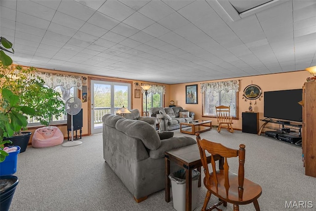 living area featuring carpet floors