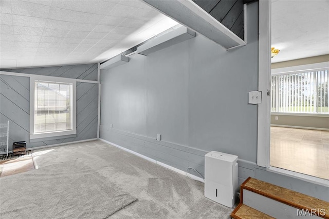interior space with carpet flooring, baseboards, and wooden walls