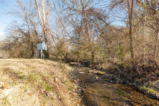 601 Broadway St, Van Buren, MO 63965 - view of yard