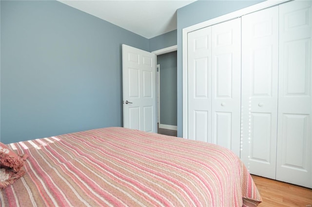 601 Broadway St, Van Buren, MO 63965 - bedroom with a closet and light wood-type flooring