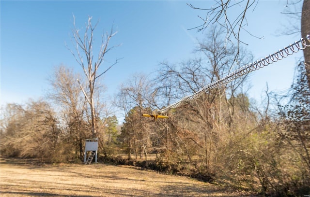 601 Broadway St, Van Buren, MO 63965 - view of yard