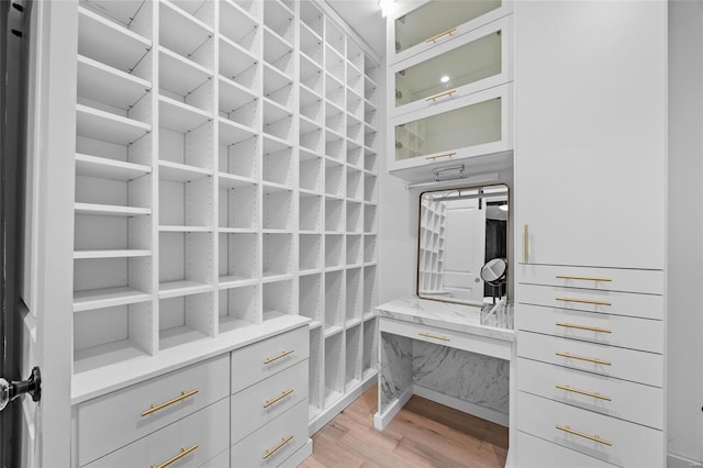 5818 Westminster Pl, Saint Louis, MO 63112 - spacious closet with light wood finished floors