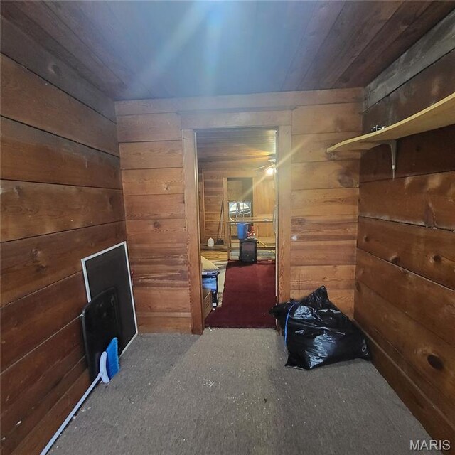 808 Walnut St, Doniphan, MO 63935 - view of storage area