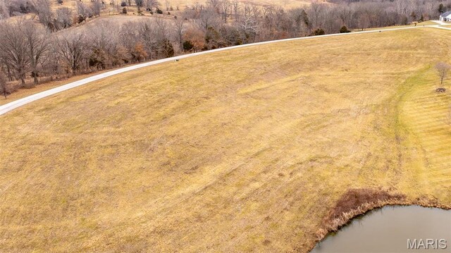 10678 Churchill Downs Rd, Marthasville, MO 63357 - photo 5