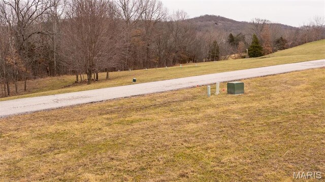 10678 Churchill Downs Rd, Marthasville, MO 63357 - photo 11