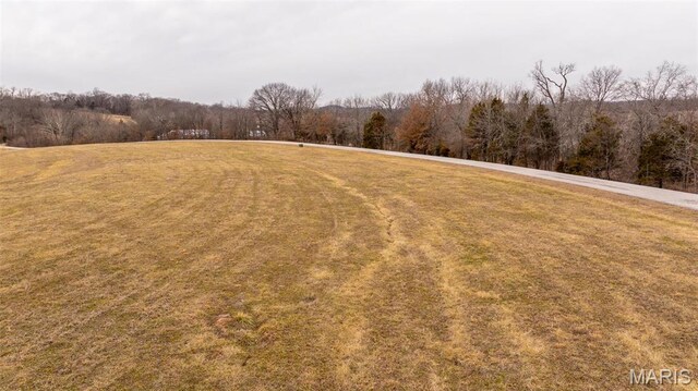 10678 Churchill Downs Rd, Marthasville, MO 63357 - photo 12