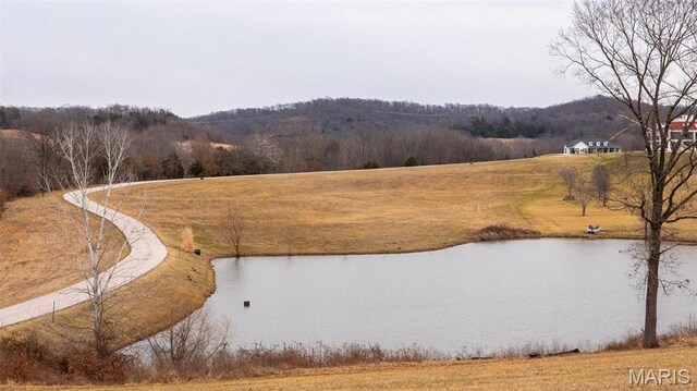 10678 Churchill Downs Rd, Marthasville, MO 63357 - photo 22