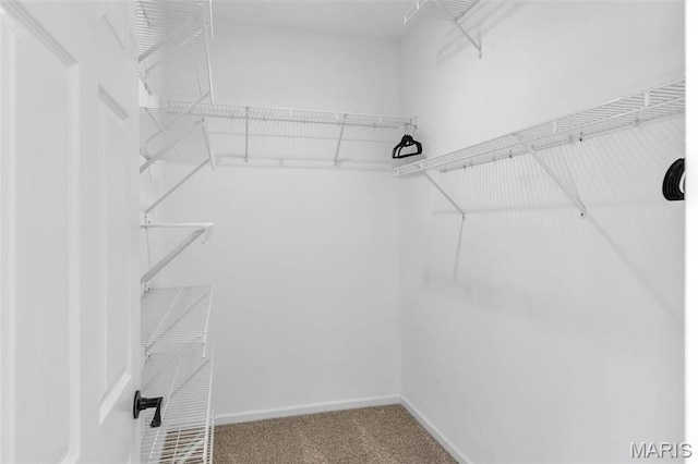 3560 Saint Albans Rd, Saint Albans, MO 63073 - walk in closet with carpet floors