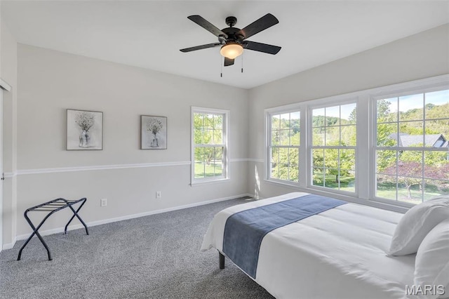 3560 Saint Albans Rd, Saint Albans, MO 63073 - carpeted bedroom with baseboards and ceiling fan