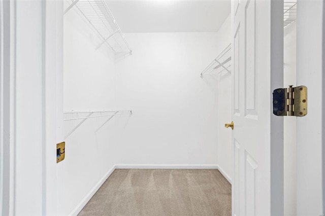 walk in closet with carpet