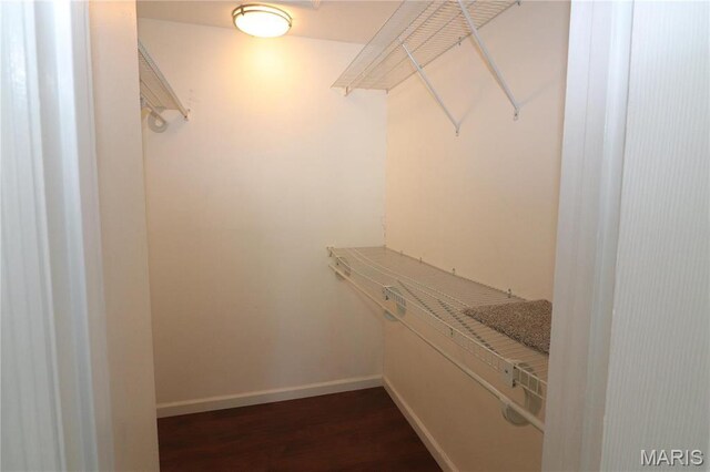 1090 Mersey Bend Dr Unit F, Saint Louis, MO 63129 - spacious closet with dark wood-type flooring