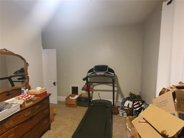 508 S Grand Ave, Houston, MO 65483 - exercise room featuring carpet floors