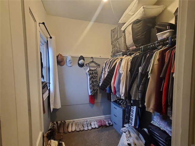 508 S Grand Ave, Houston, MO 65483 - walk in closet featuring carpet