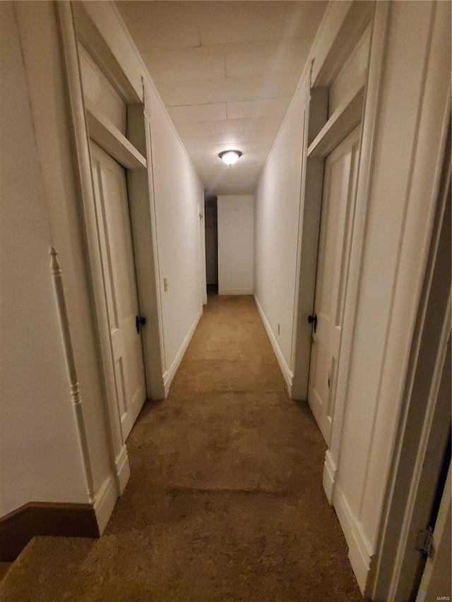 508 S Grand Ave, Houston, MO 65483 - hallway with light colored carpet and baseboards