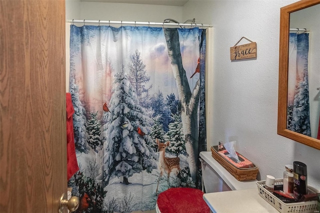 403 S Maple St Unit 403-405, Staunton, IL 62088 - bathroom with toilet and a shower with shower curtain