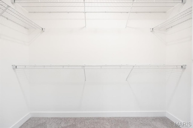 108 Chickasaw Ln, Ofallon, IL 62269 - spacious closet with carpet floors