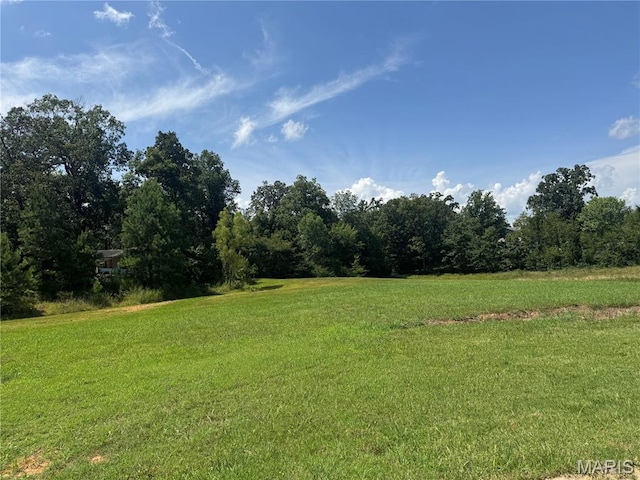 19 Karmen Ln, Poplar Bluff, MO 63901 - photo 2
