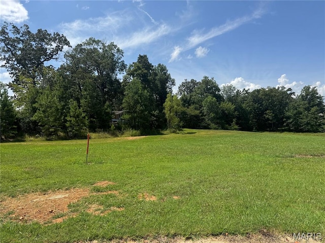 19 Karmen Ln, Poplar Bluff, MO 63901 - photo 3