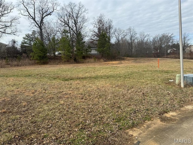 19 Karmen Ln, Poplar Bluff, MO 63901 - photo 6