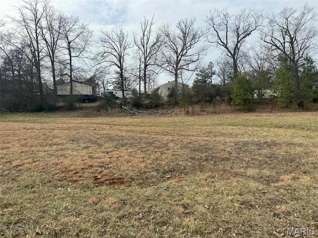 19 Karmen Ln, Poplar Bluff, MO 63901 - photo 10