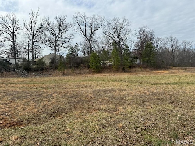 19 Karmen Ln, Poplar Bluff, MO 63901 - photo 11