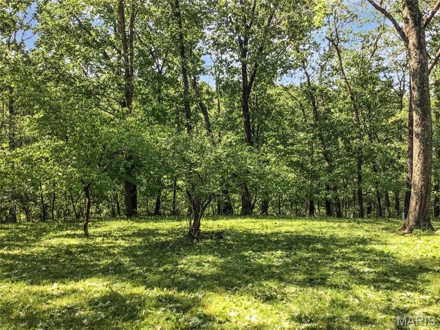 5 Wilderness Ln, Defiance, MO 63341 - photo 18