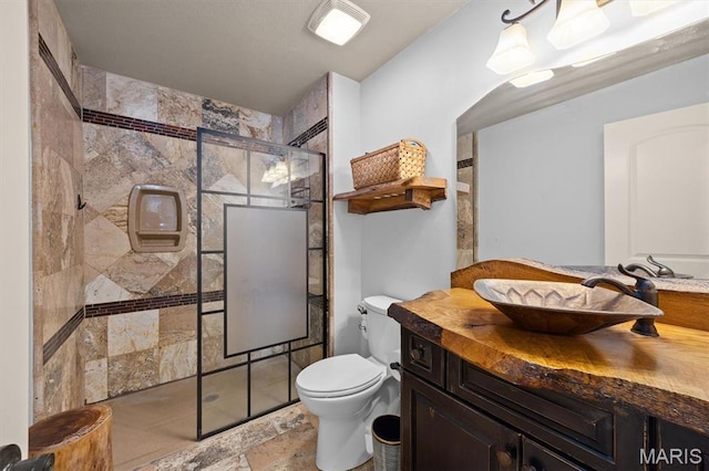 2016 Richview Dr, Saint Jacob, IL 62281 - full bathroom with a stall shower, toilet, vanity, and stone finish floors