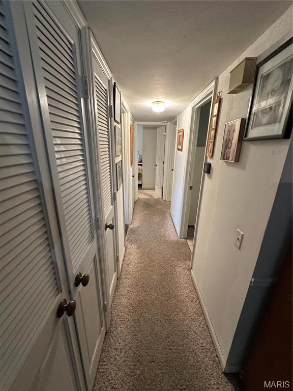 4290 Chateau De Ville Dr Unit G, Saint Louis, MO 63129 - hall featuring light carpet
