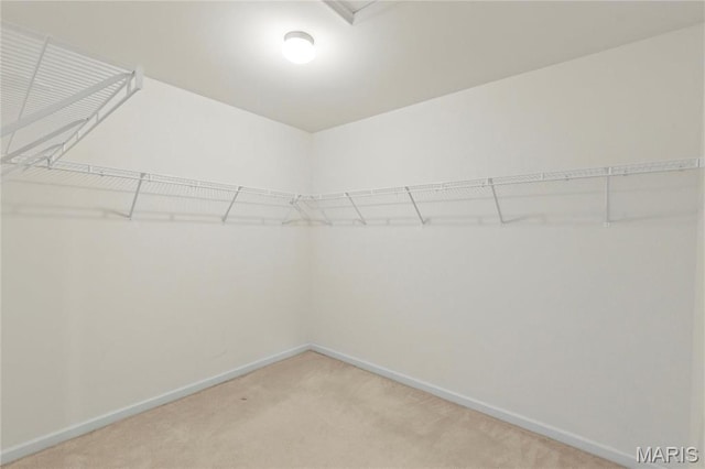 1 Ashbury Crossing Ct, Florissant, MO 63034 - walk in closet featuring light carpet