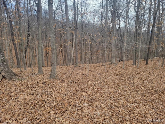 437 Big River Vw, Eureka, MO 63025 - photo 2