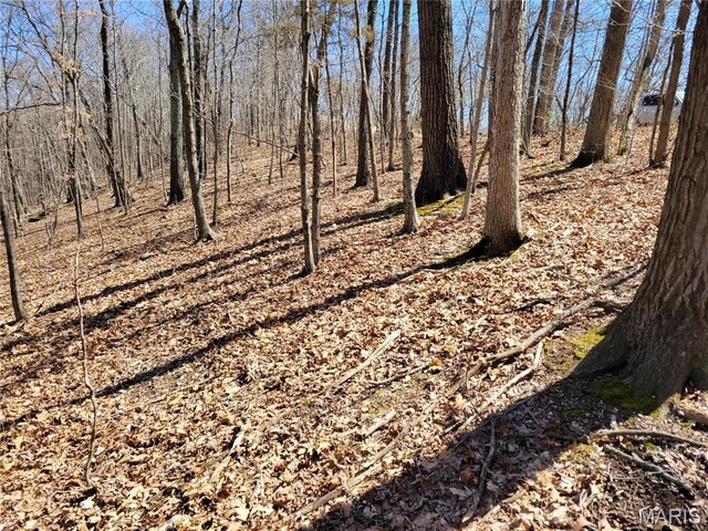 437 Big River Vw, Eureka, MO 63025 - photo 3