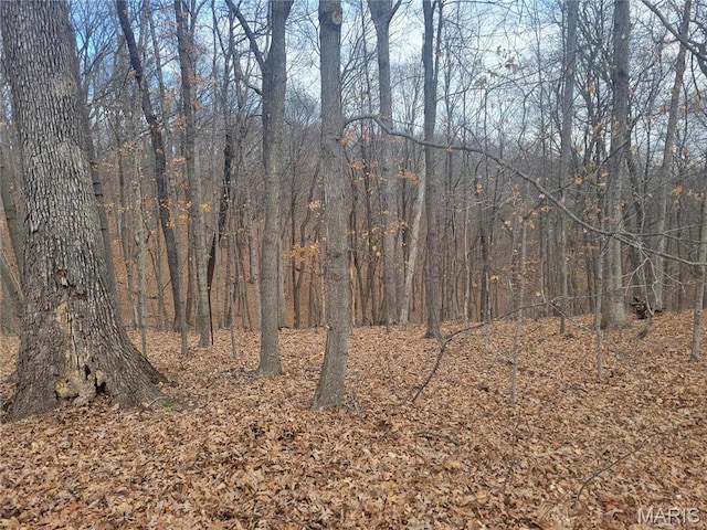 437 Big River Vw, Eureka, MO 63025 - photo 5